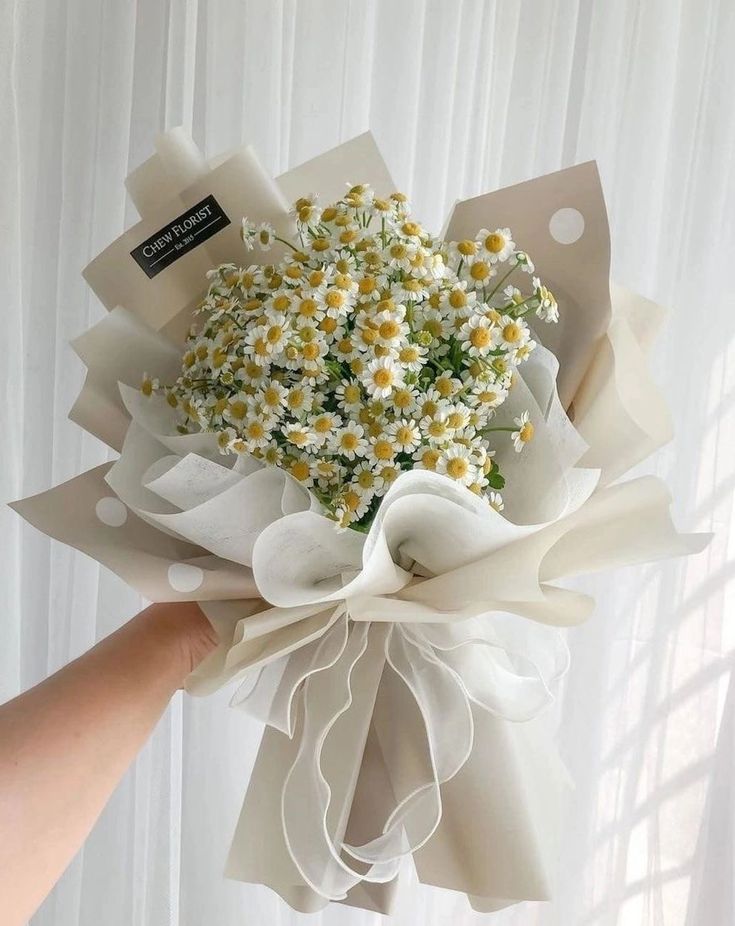 Bó hoa cúc họa mi